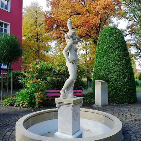 Parkhotel Bad Schandau Mit Spa Kültér fotó